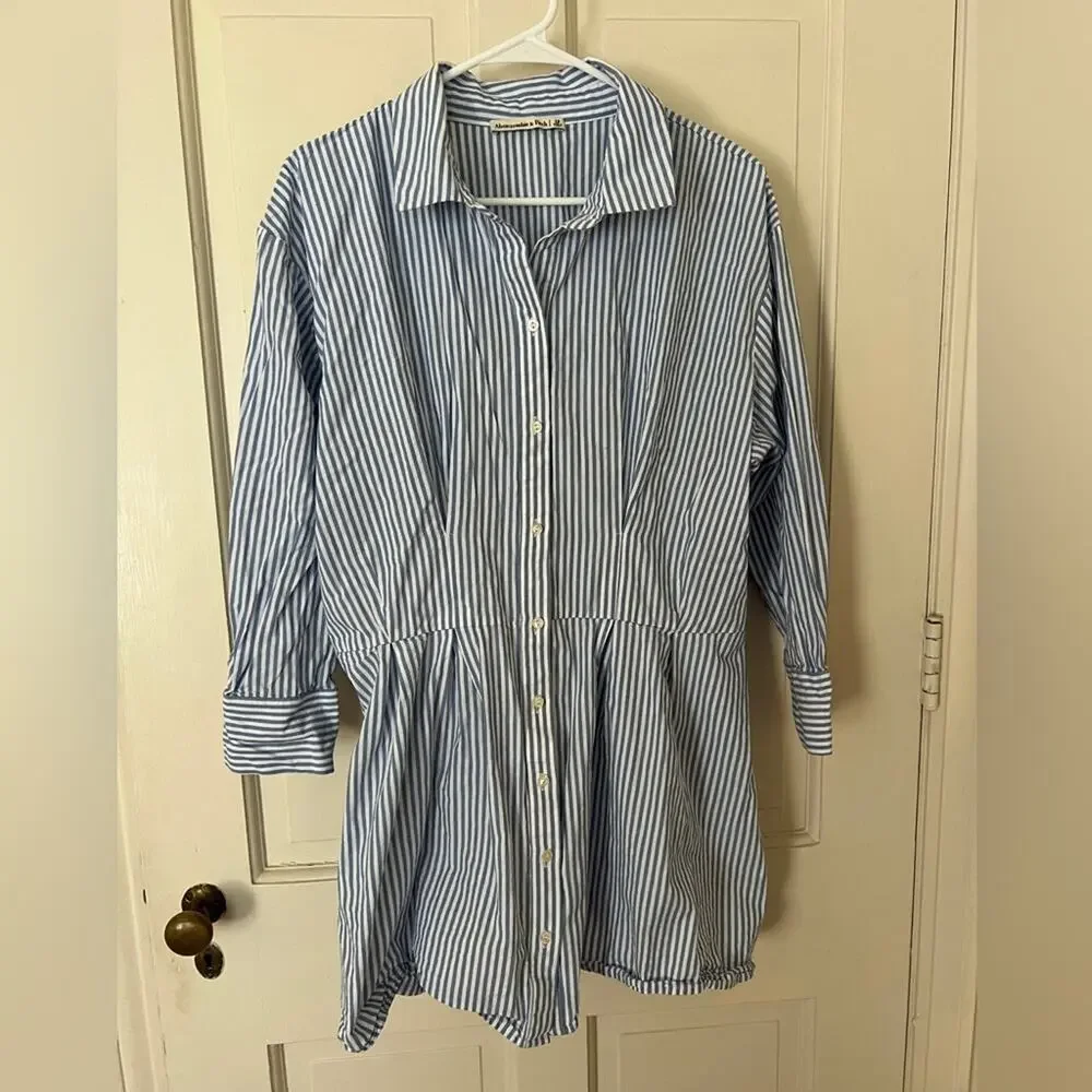Abercrombie and Fitch Long-Sleeve Poplin Shirt Dress Striped Blue White - Picture 2 of 9
